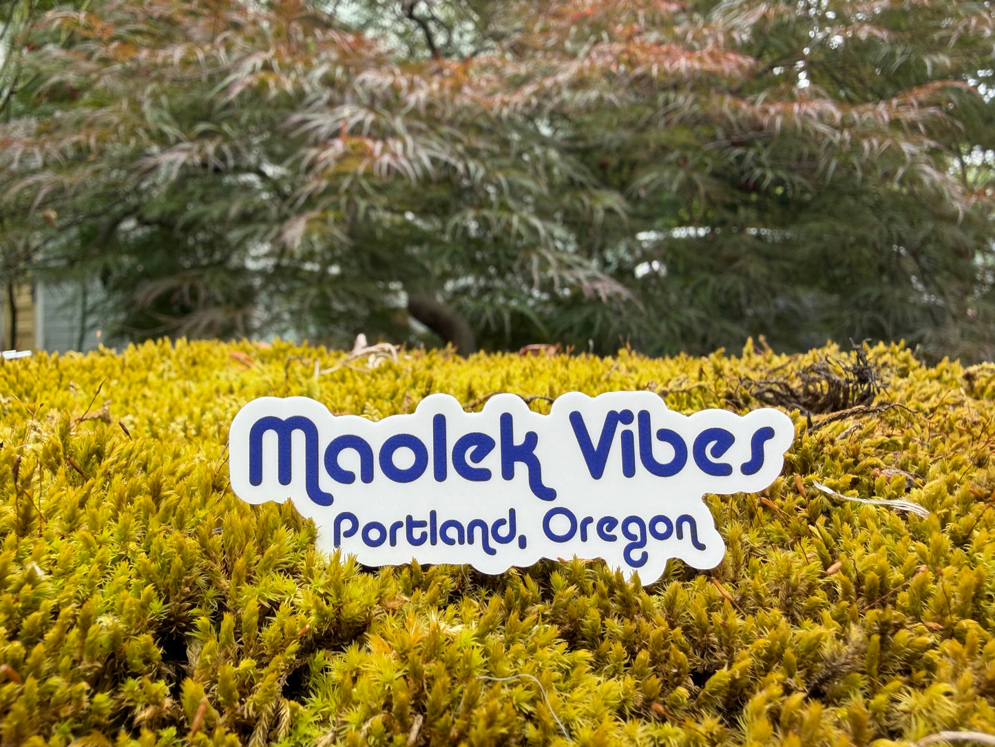Maolek Vibes